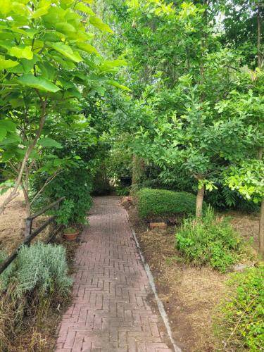 Casanova Lonati Bed & Breakfast | 20 m² Bed and breakfast ∙ 2 guests