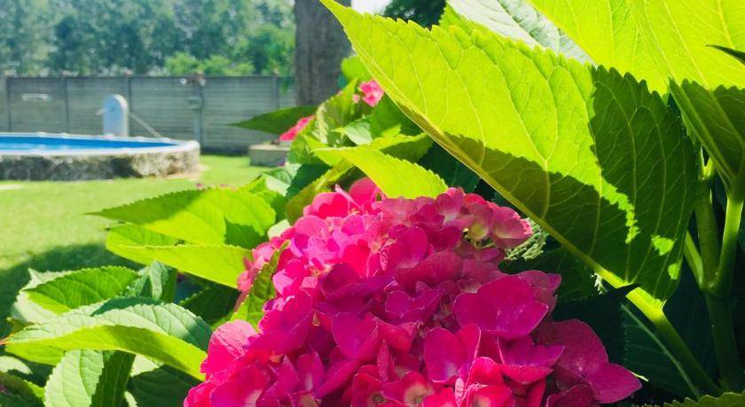 Ottobiano Bed & Breakfast | 22 m² Bed and breakfast ∙ 3 guests