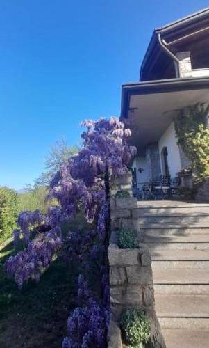 Cunardo Bed & Breakfast | 35 m² Bed and breakfast ∙ 4 guests