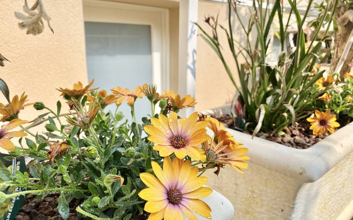 Limone sul Garda Apartment | 78 m² Apartment ∙ 2 bedrooms ∙ 5 guests