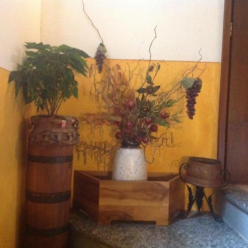 Grandola ed Uniti House | Agriturismo Barcola