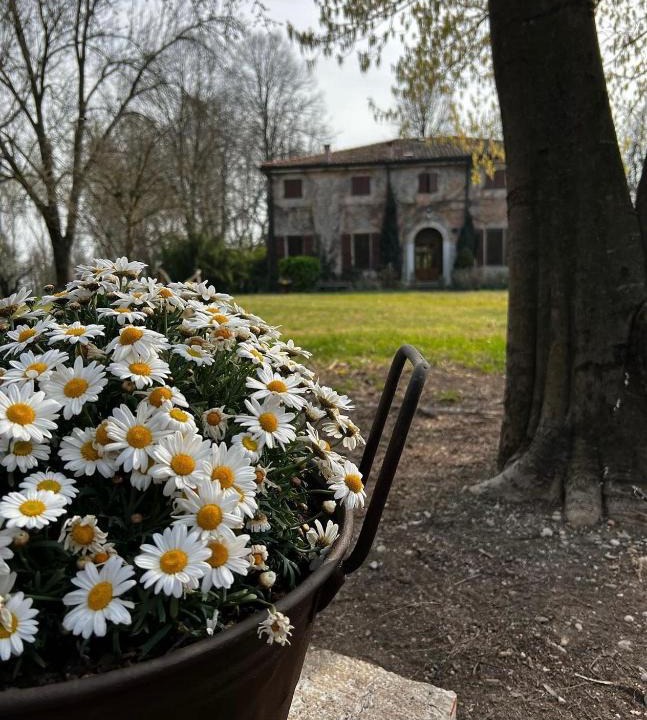 Mantua House | Agriturismo Corte San Girolamo