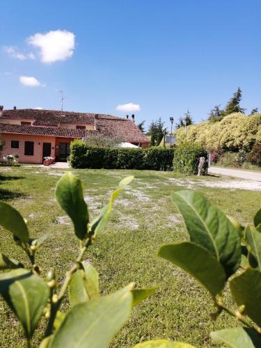 Monzambano House | Agriturismo Nuvolino