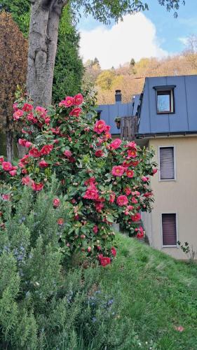 Brunate Apartment | Alfaro54