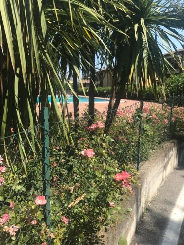 Desenzano del Garda Apartment | antonellagardalake