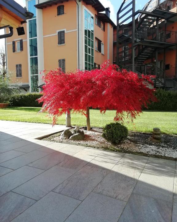 Madonna di Tirano Apartment | APPARTAMENTO ACERO - 2 min walk to Bernina Express