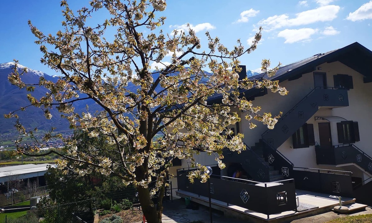Darfo Boario Terme Bed & Breakfast | B&B La Mela - Accoglienza Emiliana in Val Camonica