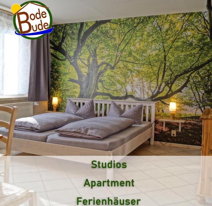 Treseburg Apartment | BodeBude