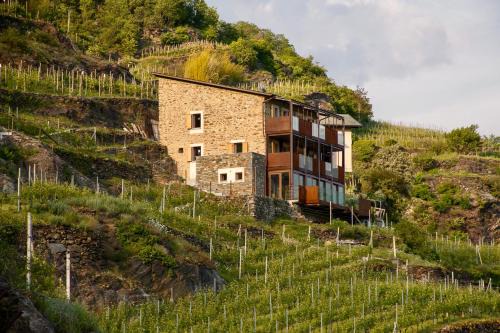 Mossini House | Ca' Barroni - Luxury Agriresort