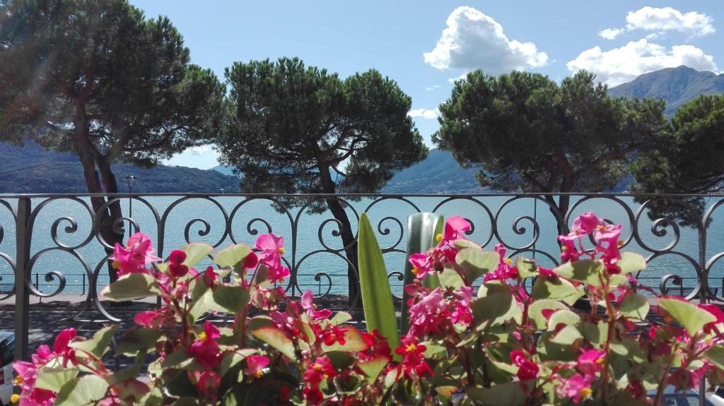 Domaso Apartment | Casa d'epoca fronte lago a Domaso lago di Como