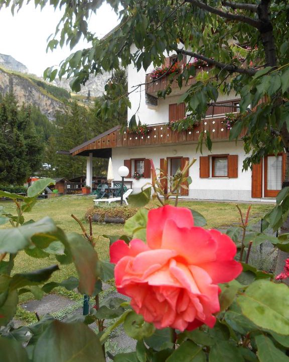Isolaccia Apartment | Casa Federica