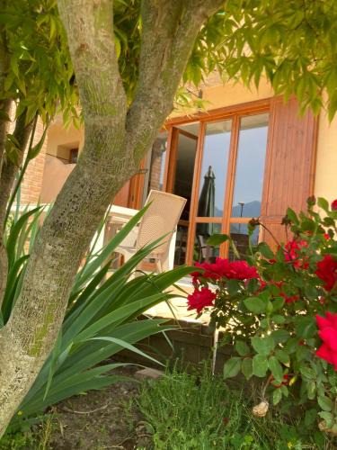 Crone House | Casa Simonetta