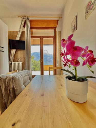 Vignola Apartment | Casa Vacanze Breva