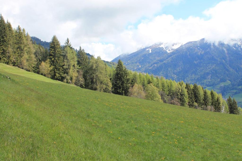 Bordogna Apartment | Casa Vacanze La Vite