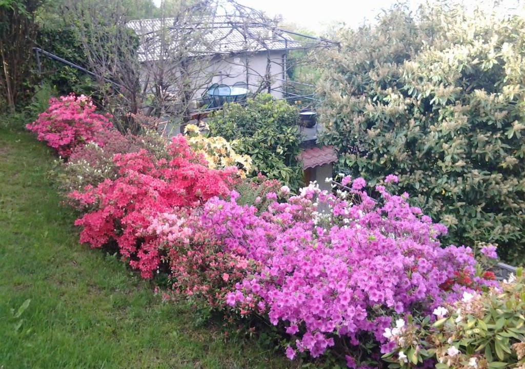 Brunate House | Casa Vacanze Le Violette