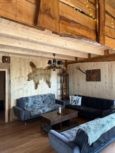 Harzgerode Ski Chalet | Chalet Wolfsberg