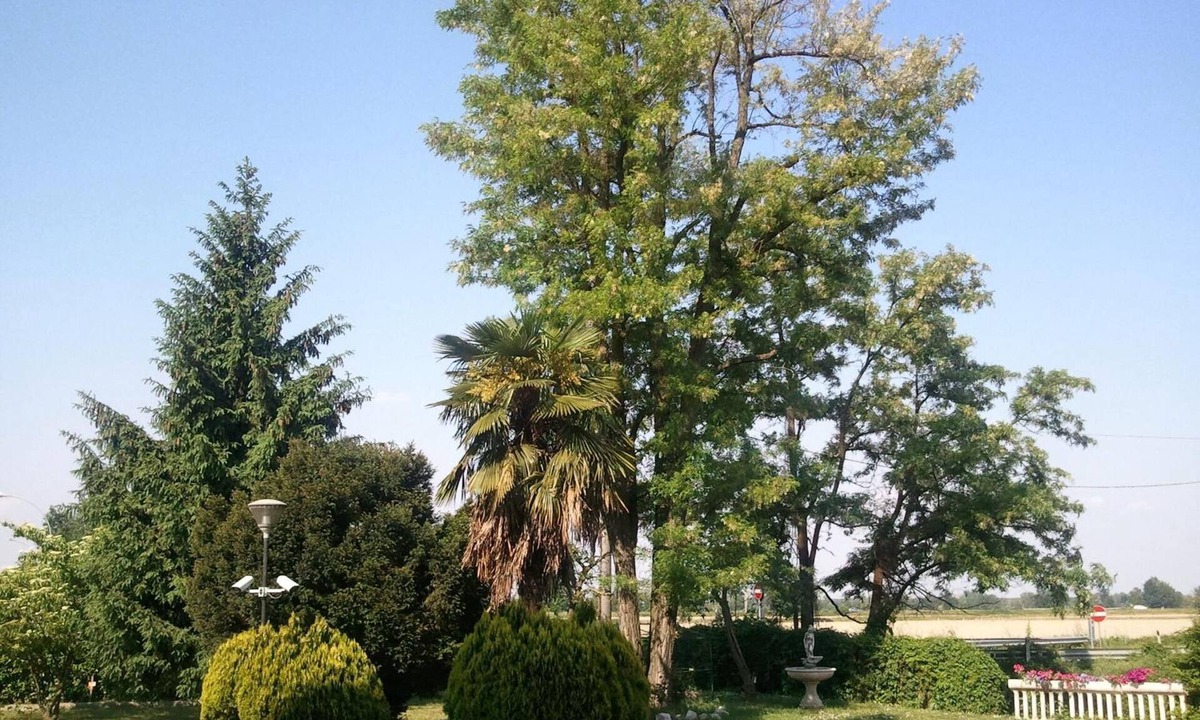 Rosate Hotel | Europa