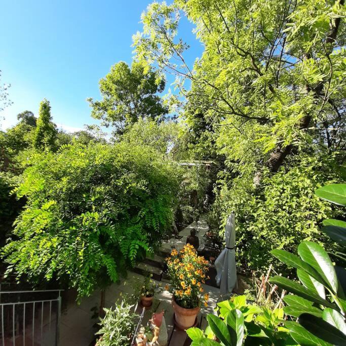 Kriegshaber Apartment | Gartenwohnung
