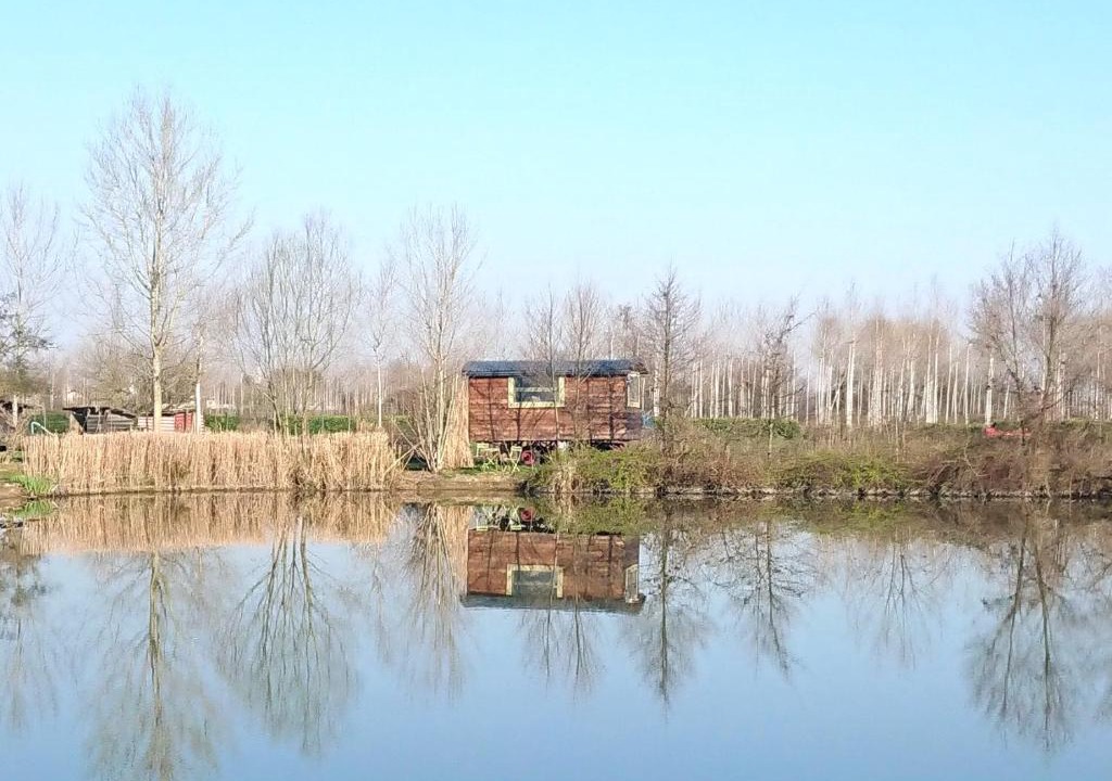 Albairate House | Glamping Casetta sul lago 2