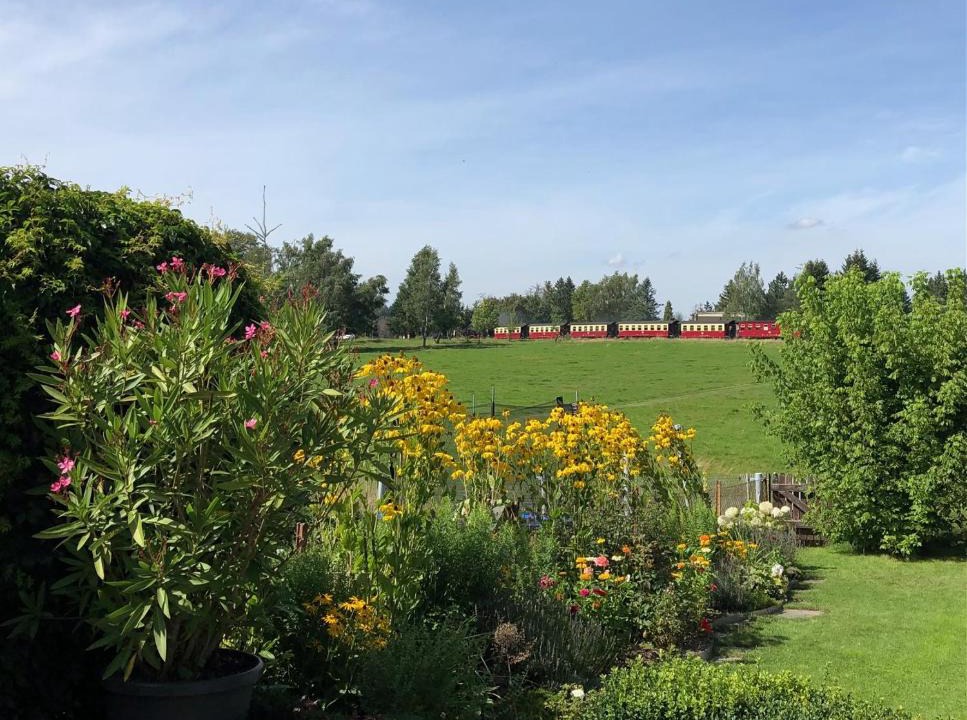 Benneckenstein Apartment | Harzquerbahnblick