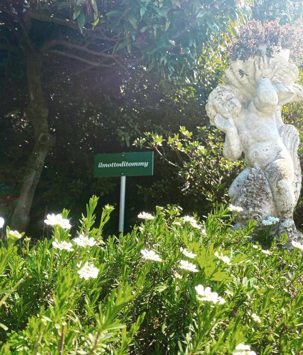 Castello Bed & Breakfast | il Motto di Tommy