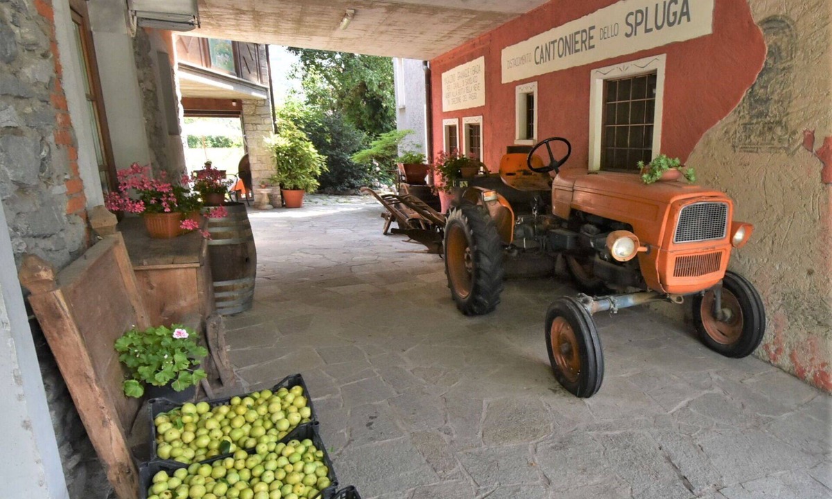 Prata Camportaccio Apartment | Lovely apartment for 5 guests with A/C, WIFI, TV, patio and pets allowed