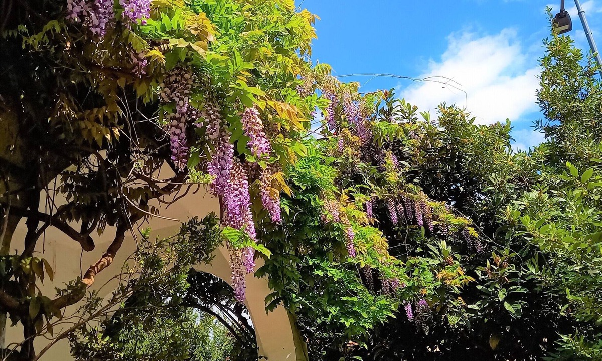 Precotto House | Spacious apartment in detached cottage with lovely garden