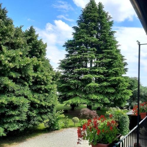 Cassano Magnago Bed & Breakfast | Tommy Vitello camere