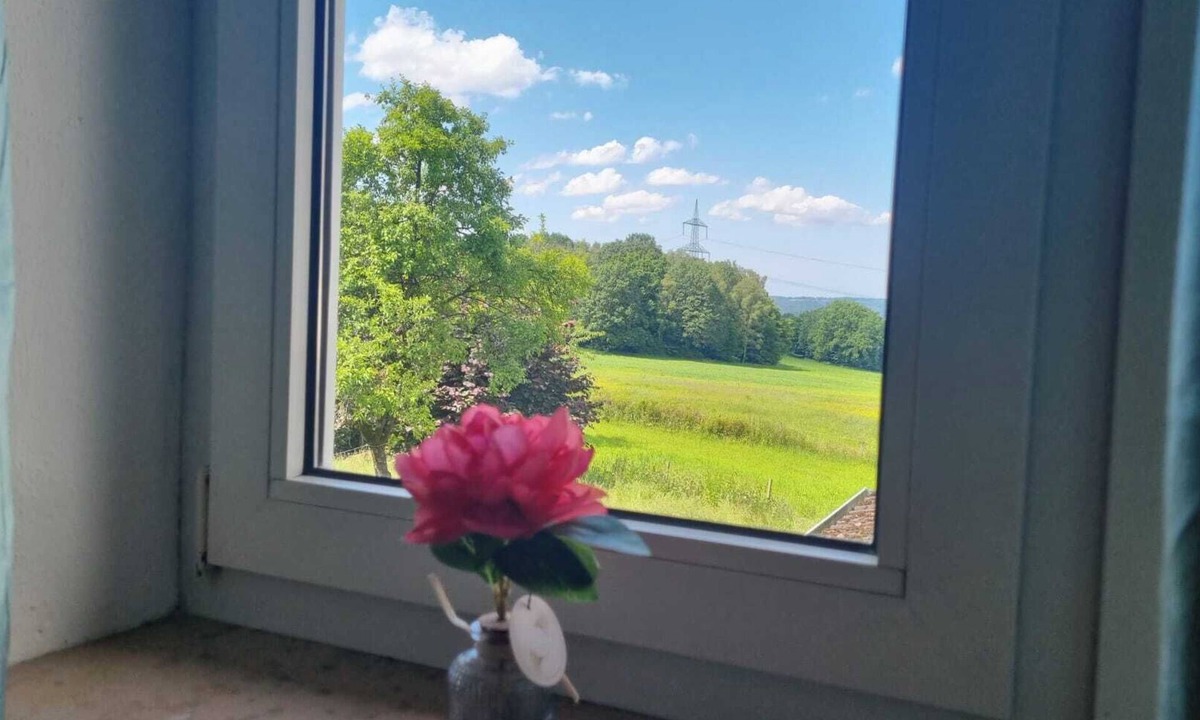 Alzenbach Apartment | Vacation accommodation Windeck