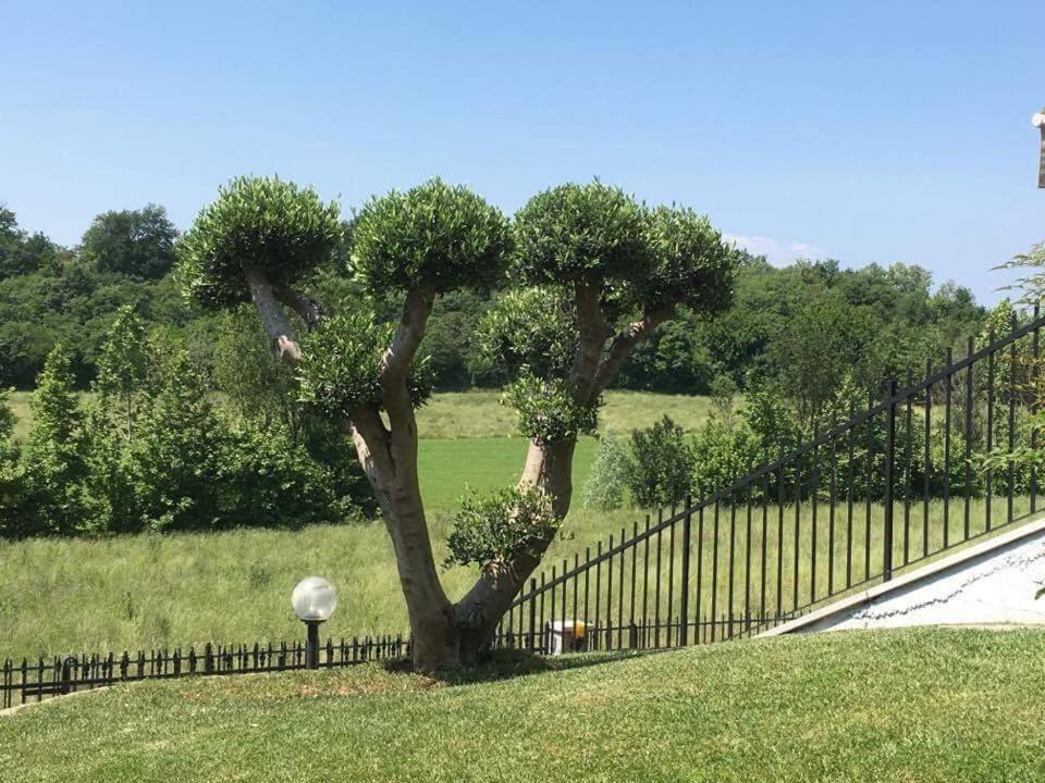 Pozzolengo Villa | Villa Elisa Relax