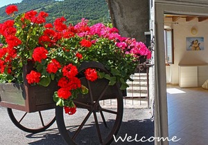 50 m² Apartment ∙ 1 bedroom ∙ 3 guests