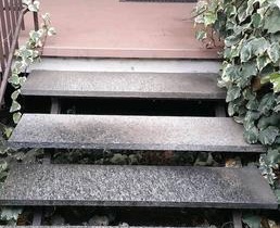B&B Milano Malpensa 1