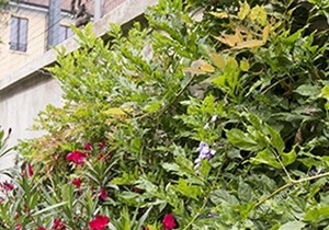 B&B Villa Emilia Milano