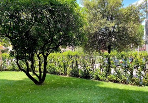 Holiday apartment Sirmione for 1 - 6 persons with 2 bedrooms - Holiday apartment in one or multi-fam