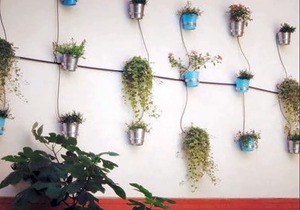 Mio Hostel