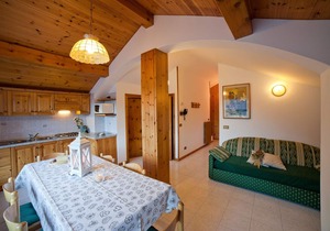 THREE-ROOM ATTIC APARTMENT WITH TWO BATHROOMS CHALET BUCANEVE