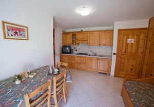 TWO-ROOM APARTMENT MOUNTAIN VIEW