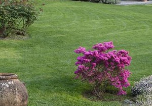 Villa Sardagna