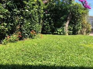 Ferienwohnung Manerba Del Garda Für Personen Schlafzimmern | Villaggio Sanghen