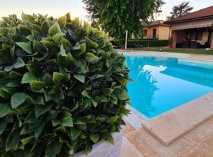 Marinella | Cornale e Bastida