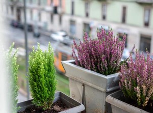 Milan | Zona Farini