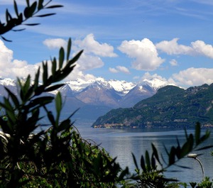 Villa Bellagio Garden 