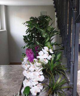 Villa Guardia Apartment | 120 m² Apartment ∙ 3 bedrooms ∙ 5 guests
