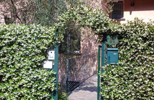 Oliveto Lario Bed & Breakfast | 14 m² Bed and breakfast ∙ 2 guests