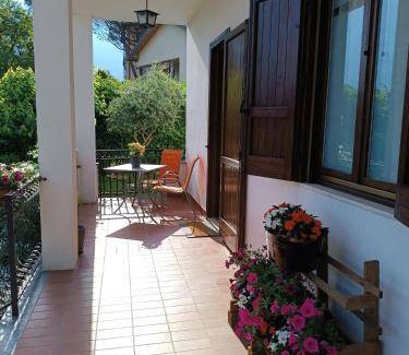 Albate Bed & Breakfast | 16 m² Bed and breakfast ∙ 4 guests