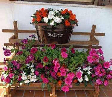 Albate Bed & Breakfast | 16 m² Bed and breakfast ∙ 4 guests