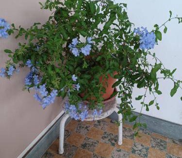 Parabiago Bed & Breakfast | 20 m² Bed and breakfast ∙ 2 guests
