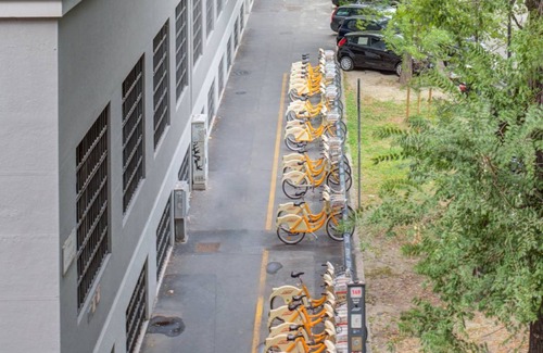 Washington Resort | 242 m² Private room ∙ 1 bedroom ∙ 1 guest