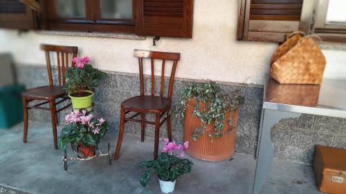 Busto Arsizio Bed & Breakfast | 25 m² Bed and breakfast ∙ 2 guests