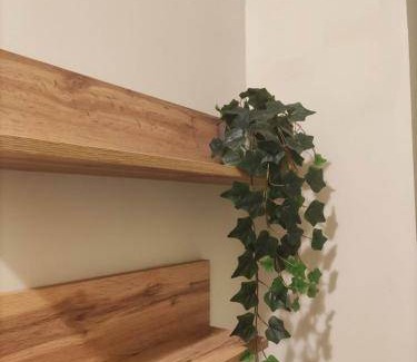 Calvairate Apartment | 40 m² Apartment ∙ 1 bedroom ∙ 2 guests